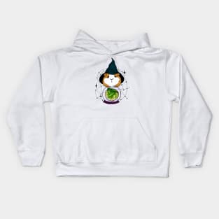 Wizard guinea pig Kids Hoodie